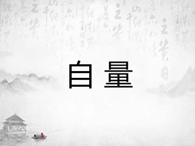 自量
