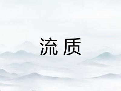 流质 流质