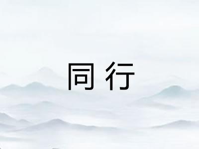 同行 同行