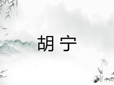 胡宁 胡宁