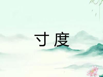寸度