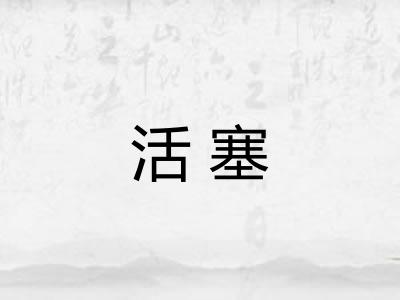 活塞 活塞