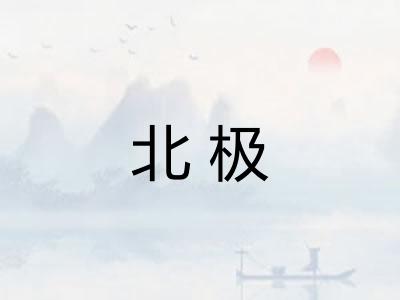 北极