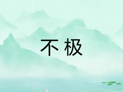 不极