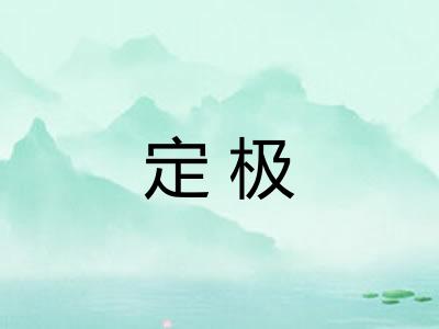 定极