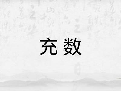 充数 充数