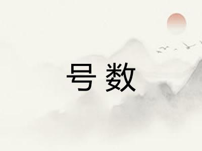号数
