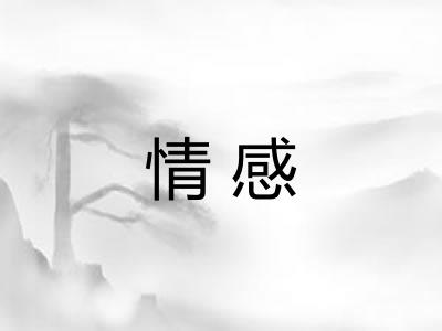 情感 情感
