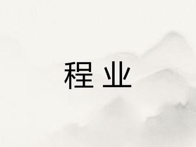 程业