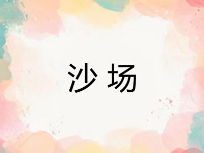 沙场 沙场