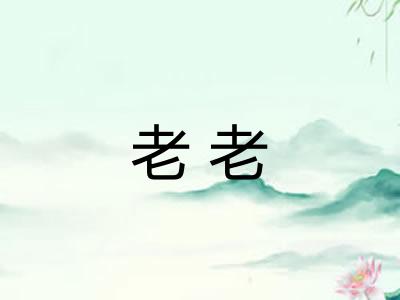 老老 老老