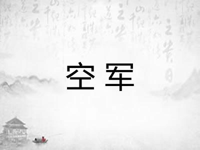 空军