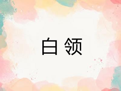 白领 白领