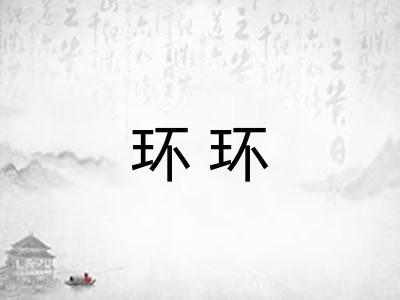 环环