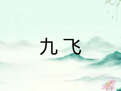九飞 九飞