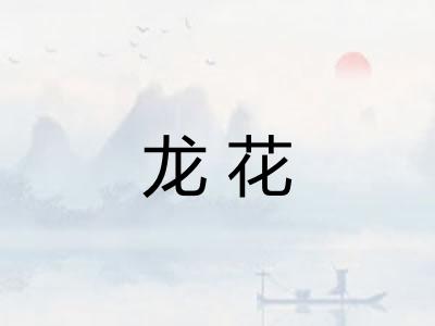 龙花 龙花