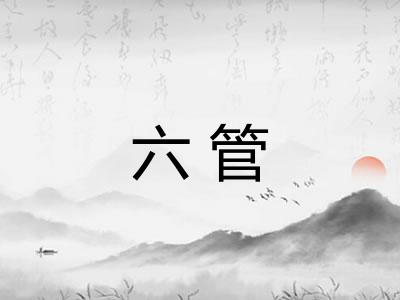 六管