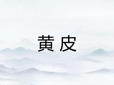 黄皮 黄皮