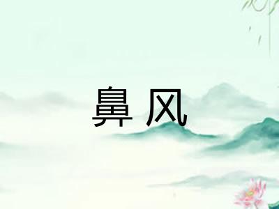 鼻风