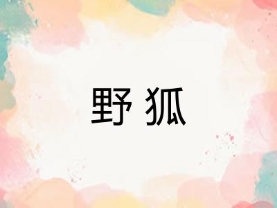 野狐 野狐