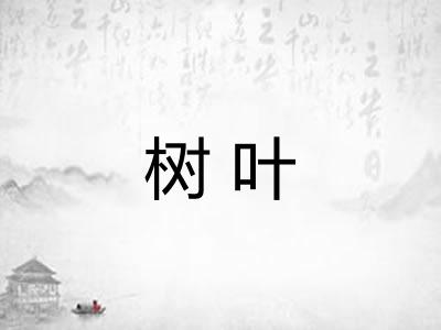 树叶 树叶