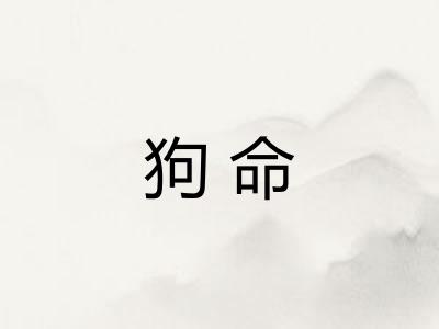 狗命 狗命