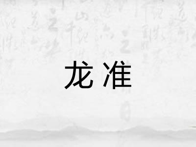 龙准
