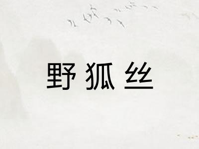 野狐丝 野狐丝
