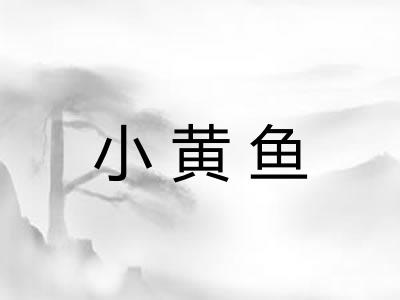 小黄鱼