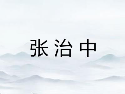 张治中 张治中