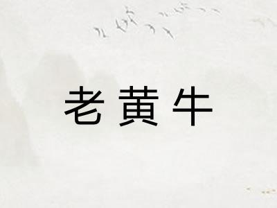 老黄牛