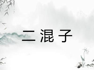 二混子