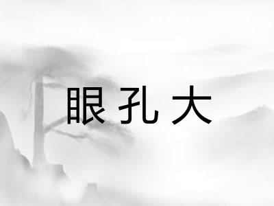 眼孔大 眼孔大