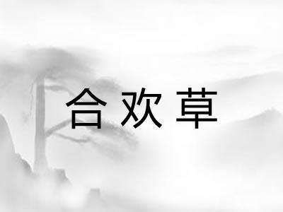 合欢草