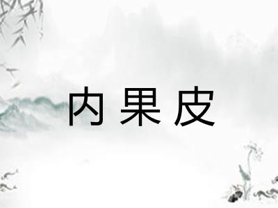 内果皮