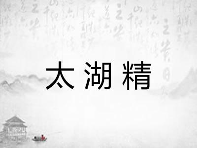 太湖精