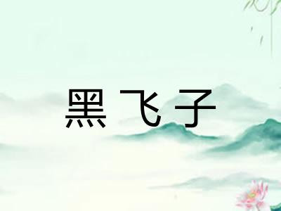 黑飞子 黑飞子