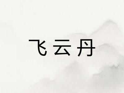 飞云丹 飞云丹