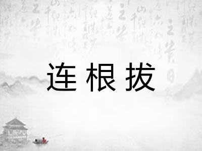 连根拔 连根拔