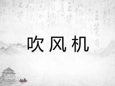 吹风机 吹风机