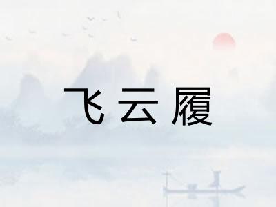 飞云履 飞云履