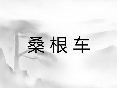 桑根车 桑根车