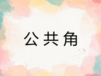公共角