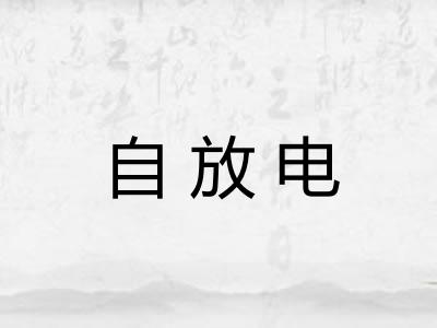 自放电