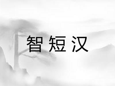智短汉 智短汉