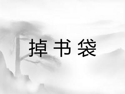 掉书袋 掉书袋