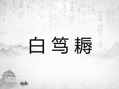 白笃耨 白笃耨