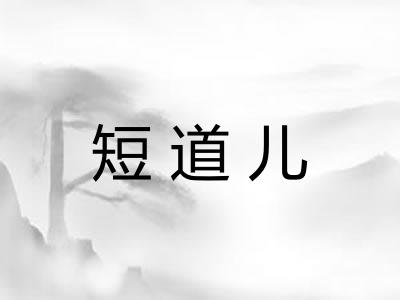短道儿