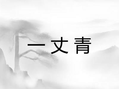 一丈青