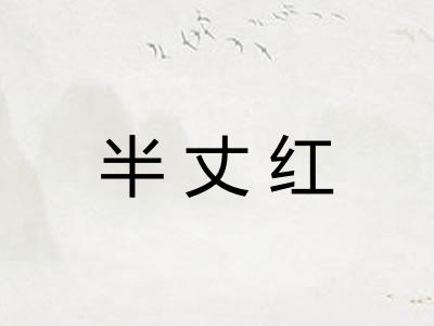 半丈红